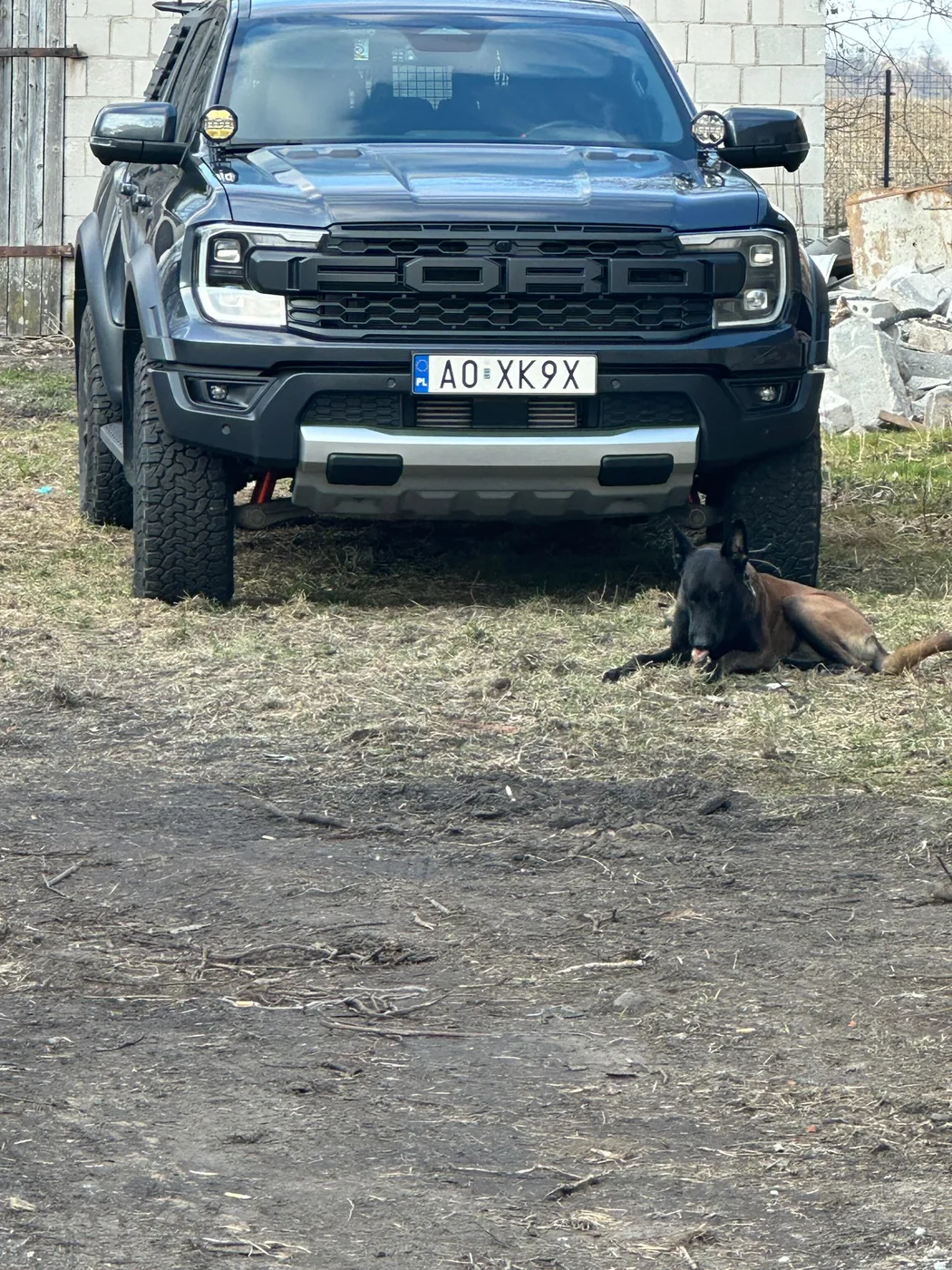 Pies K9 przy pojeździe operacyjnym Ford Ranger